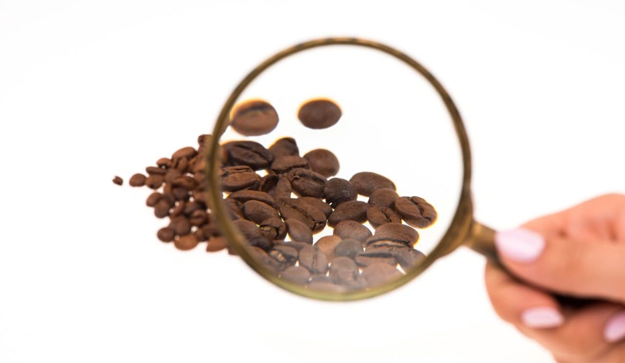 Cómo Saber Si un Café es de Especialidad