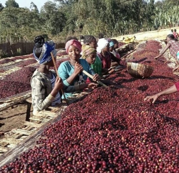 Maati Baati Etiopía