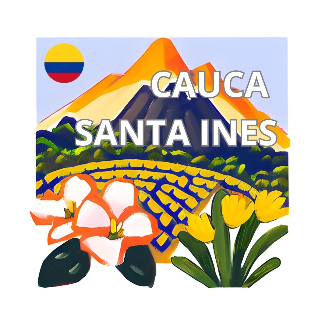 Café Cauca Santa Inés (Colombia)