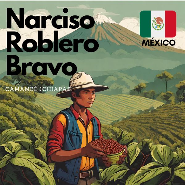 CAFE MEXICO NARCISO ROBLERO BRAVO