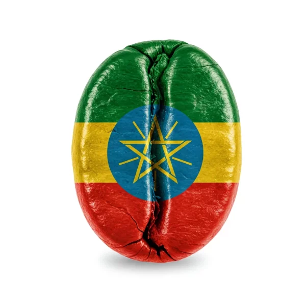 GRANO DE CAFE DE ETIOPIA