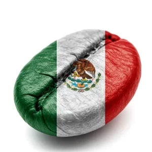 GRANO DE CAFE DE MEXICO
